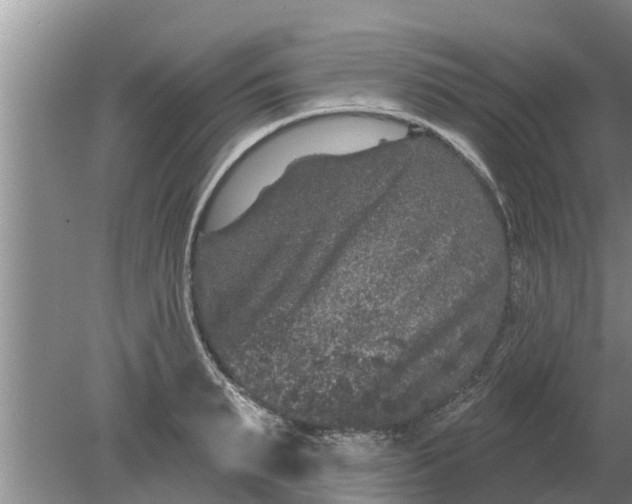 X0000080150895200612221946