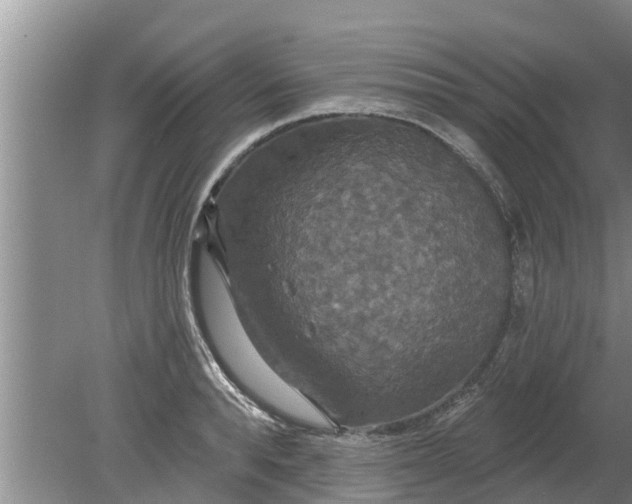 X0000080150896200612221946