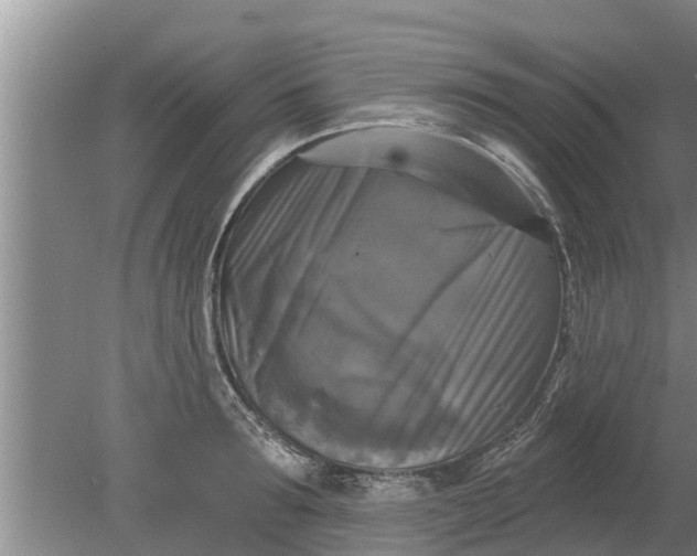 X0000080150899200612221946