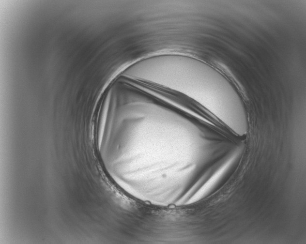 X0000080150900200612221946