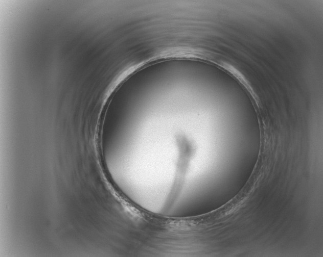 X0000080150901200612221946