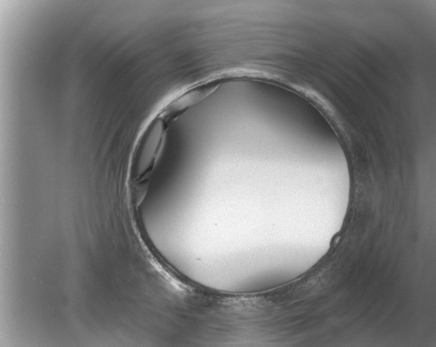 X0000080150902200612221946