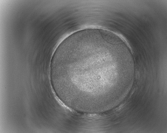 X0000080150903200612221946