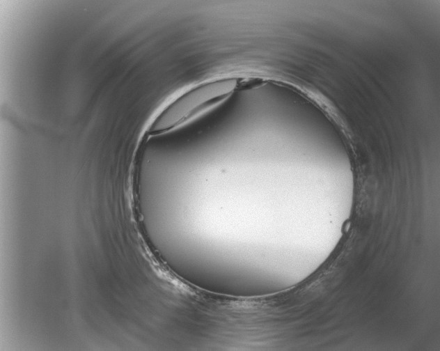 X0000080150904200612221946