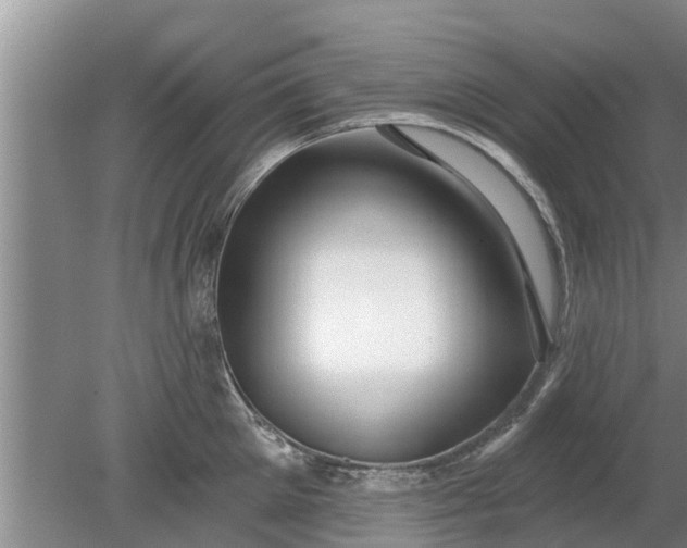 X0000080150905200612221946