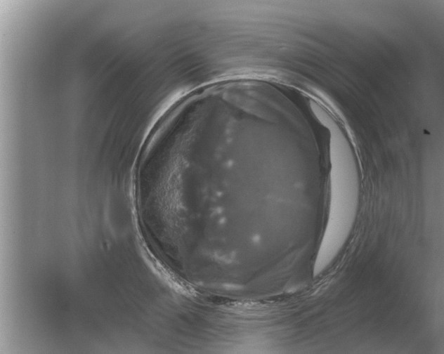 X0000080150907200612221946