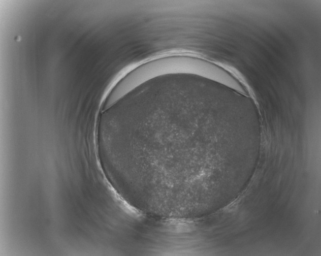 X0000080150910200612221946