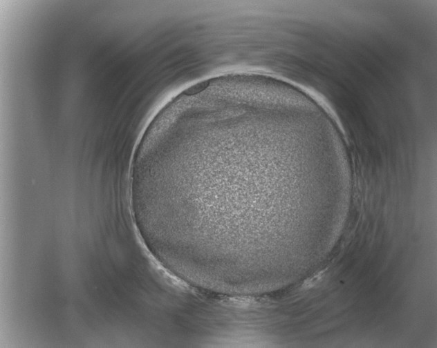 X0000080150911200612221946