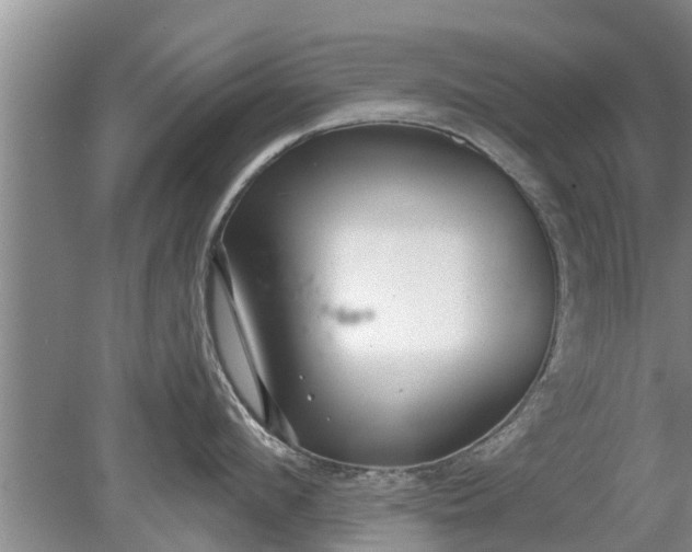 X0000080150912200612221946