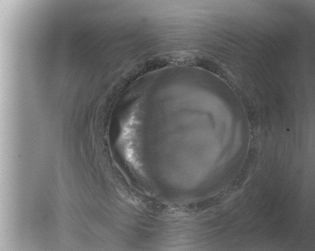 X0000080150913200612221945