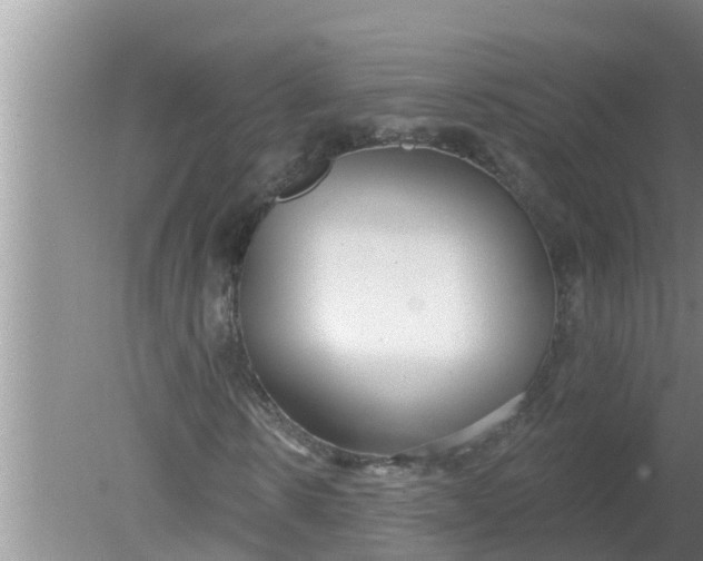 X0000080150914200612221945