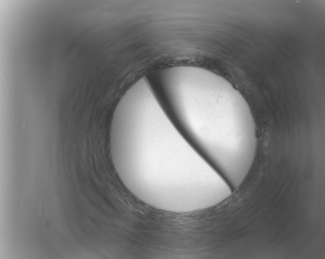 X0000080150916200612221945