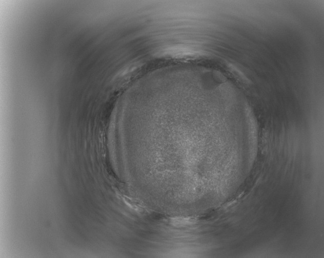 X0000080150917200612221945