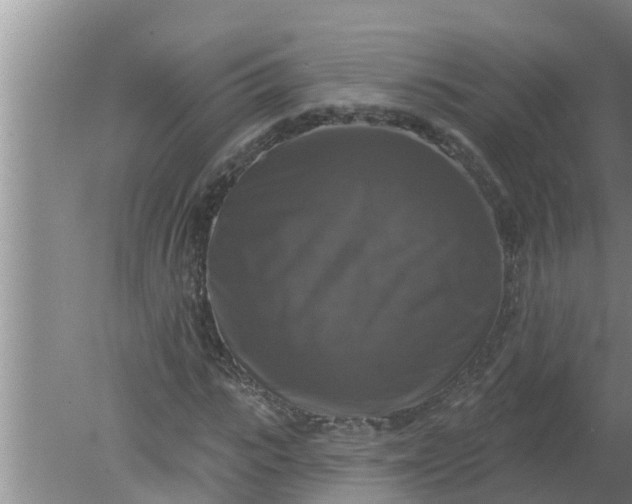 X0000080150919200612221945