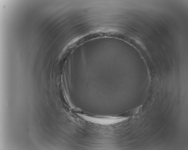 X0000080150920200612221945