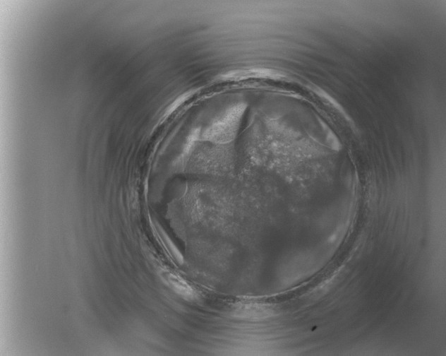 X0000080150921200612221945