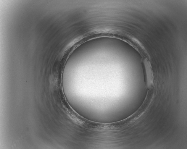 X0000080150922200612221945