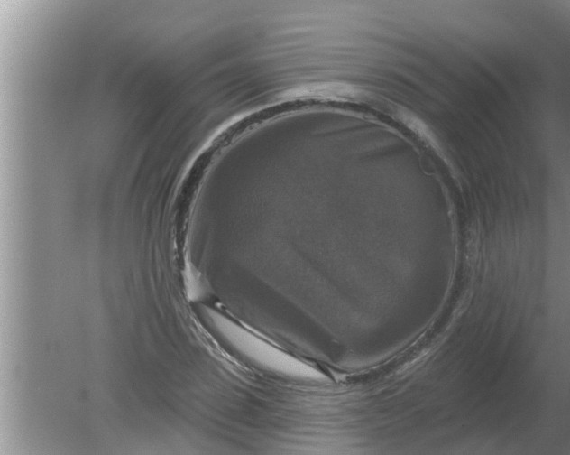 X0000080150923200612221945