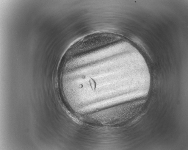 X0000080150924200612221945