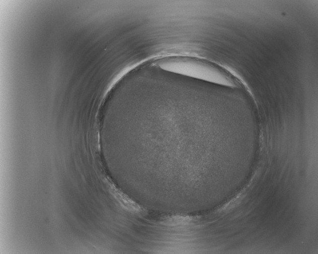 X0000080150925200612221945