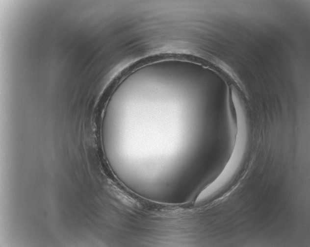 X0000080150926200612221945