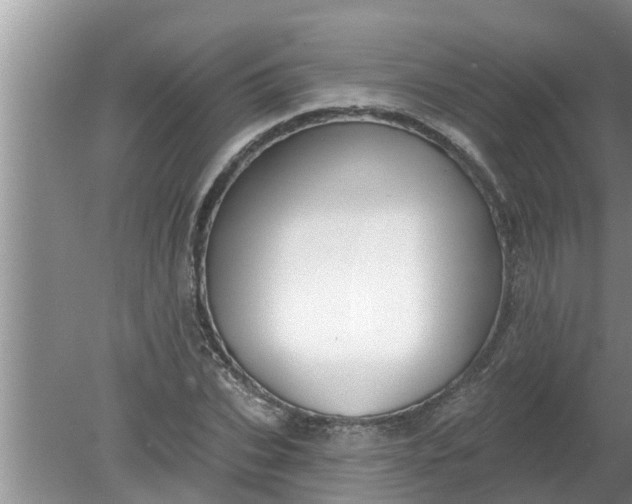 X0000080150927200612221945