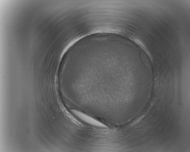 X0000080150928200612221945