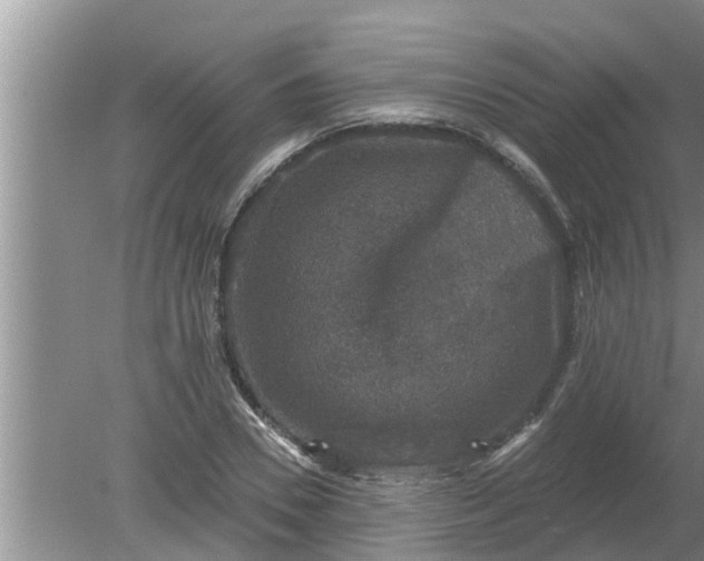 X0000080150930200612221945