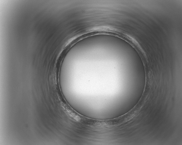 X0000080150931200612221945