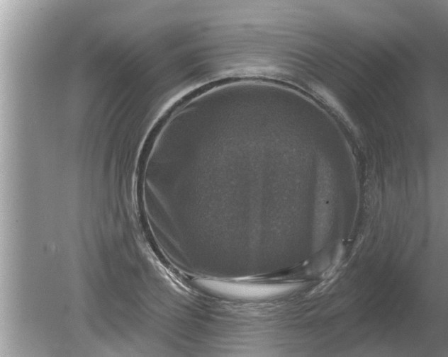 X0000080150932200612221945