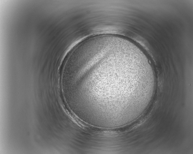 X0000080150933200612221945