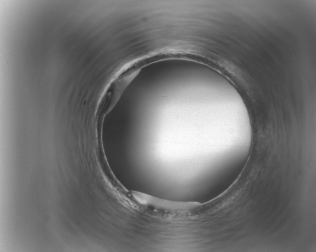 X0000080150934200612221945