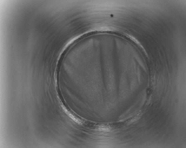 X0000080150935200612221945