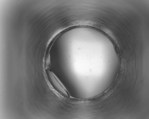 X0000080150936200612221945