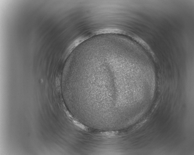 X0000080150937200612221945