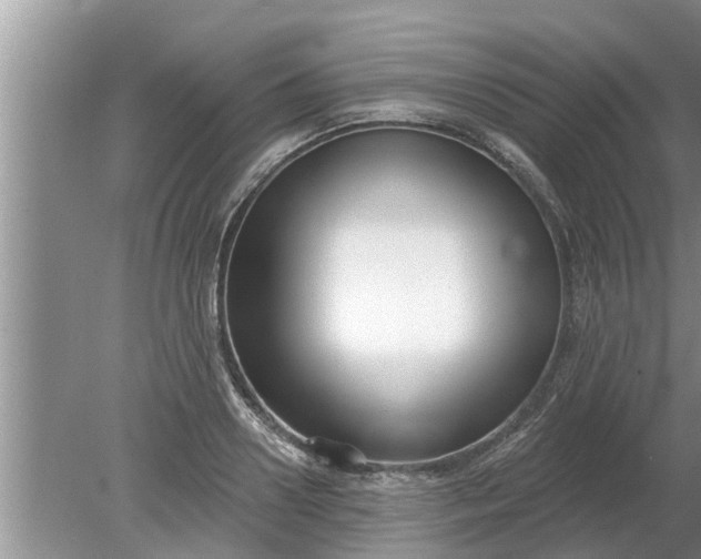 X0000080150938200612221945