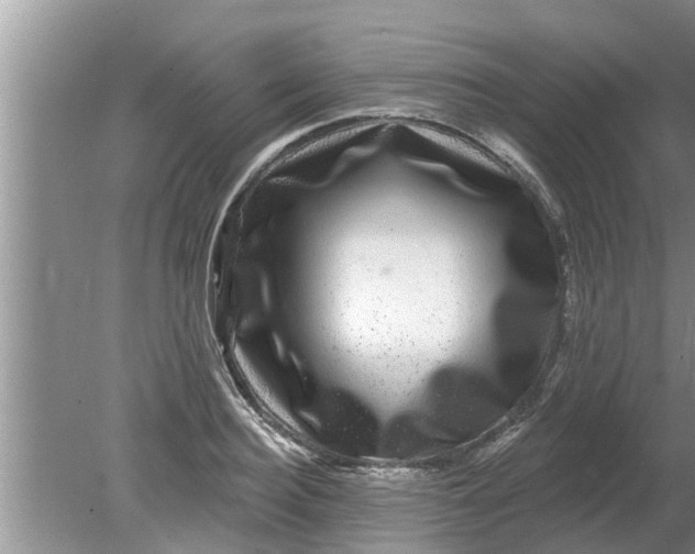 X0000080150940200612221945