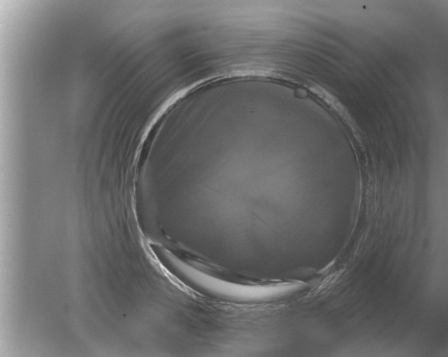 X0000080150941200612221945