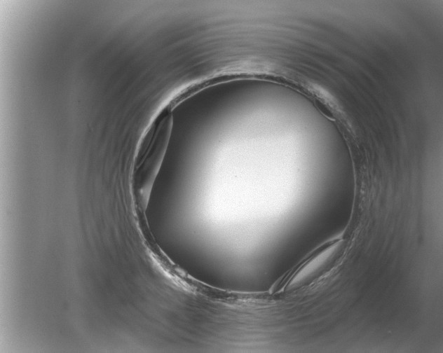 X0000080150942200612221945