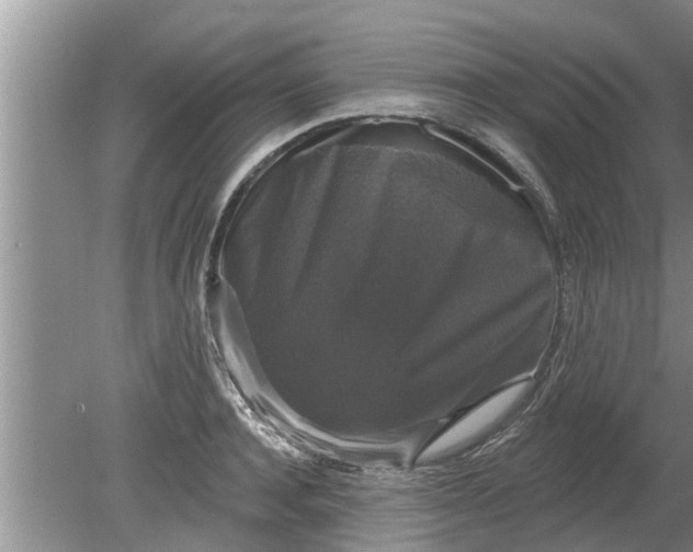 X0000080150944200612221945