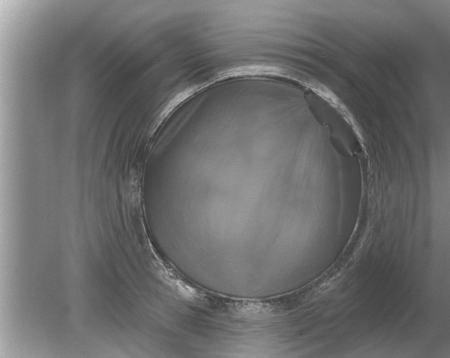 X0000080150945200612221945