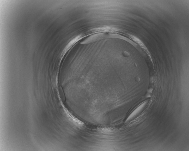 X0000080150946200612221945