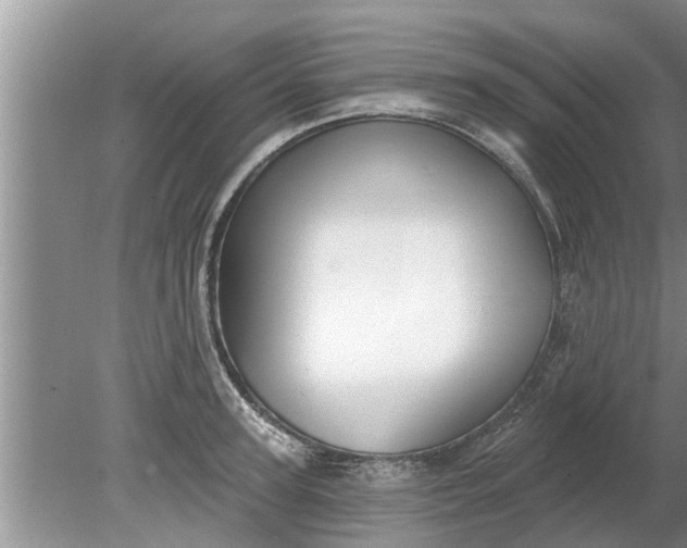 X0000080150947200612221945