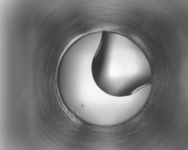 X0000080150948200612221945