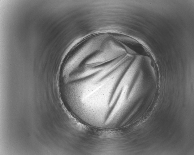 X0000080150949200612221945