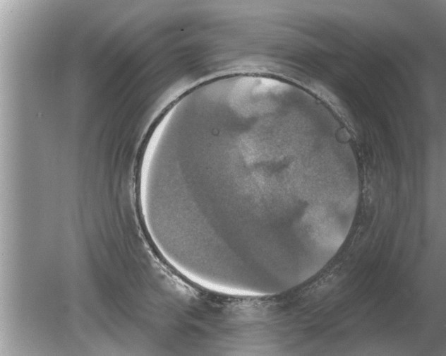 X0000080150950200612221945