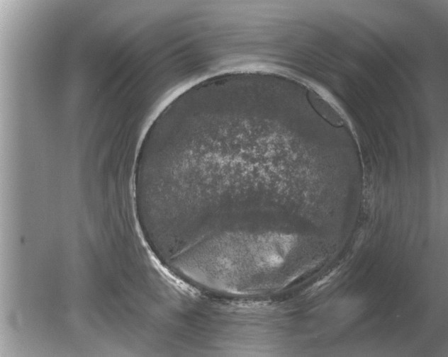 X0000080150951200612221945