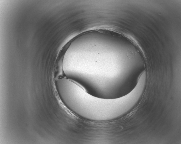 X0000080150952200612221945