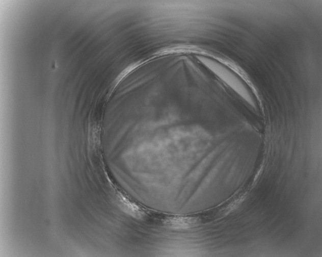 X0000080150953200612221945