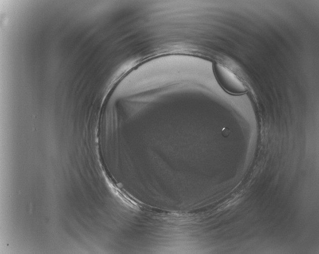 X0000080150954200612221945